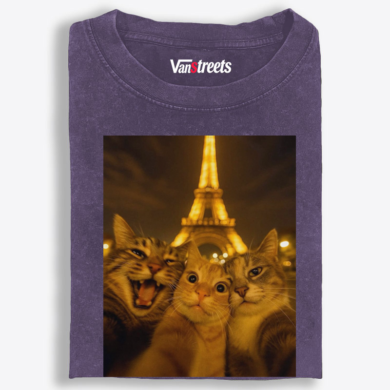 Cats at Eiffel Tower Selfie Cats at Eiffel Tower Selfie Retro Washed T-Shirt | 100% Cotton | Streetwear Essential