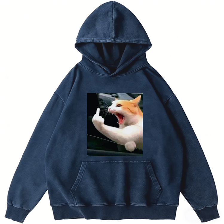 Middle Finger Cat Meme Retro Washed Hoodie