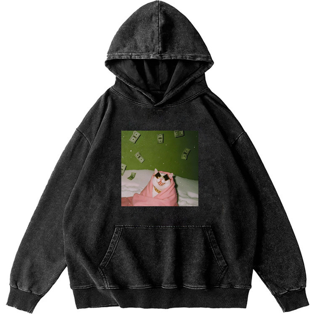 Rich Cat with Money Retro Washed Hoodie
