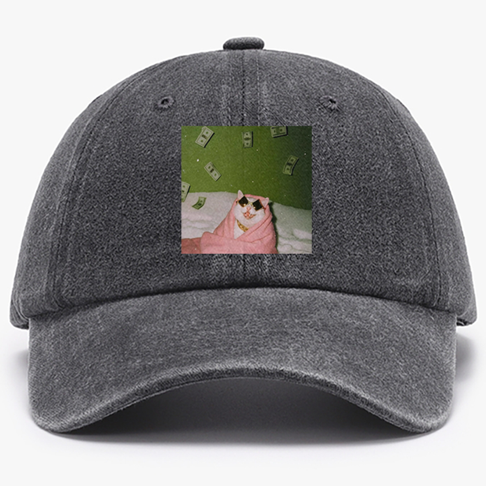 Rich Cat with Money Retro Washed Baseball Cap