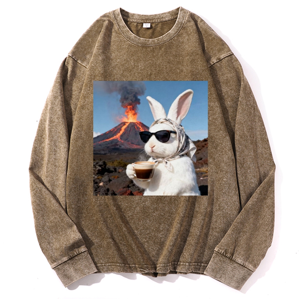 Volcano Coffee Bunny Retro Washed Long Sleeve T-Shirt
