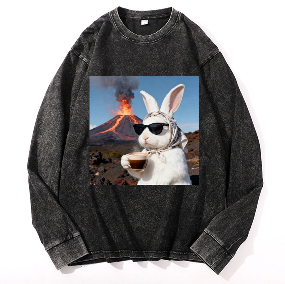 Volcano Coffee Bunny Retro Washed Long Sleeve T-Shirt