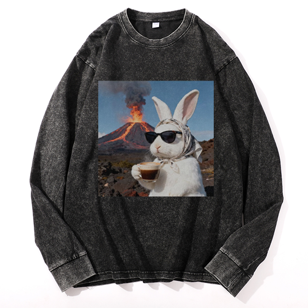 Volcano Coffee Bunny Retro Washed Long Sleeve T-Shirt