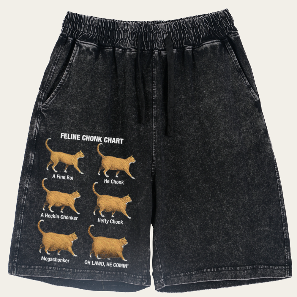 Feline Chonk Chart Cat Retro Washed Shorts