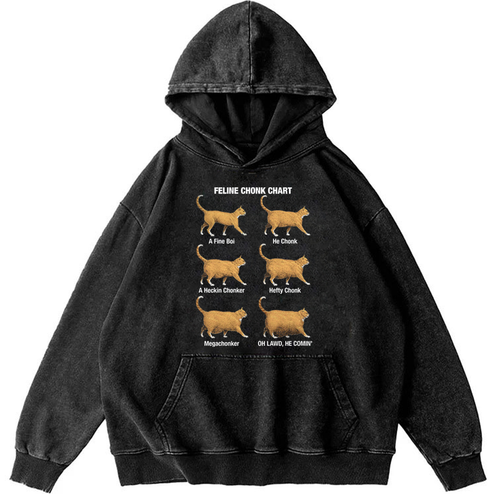 Feline Chonk Chart Cat Retro Washed Hoodie
