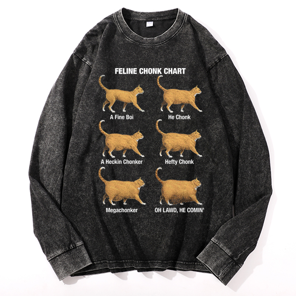 Feline Chonk Chart Cat Retro Washed Long Sleeve T-Shirt