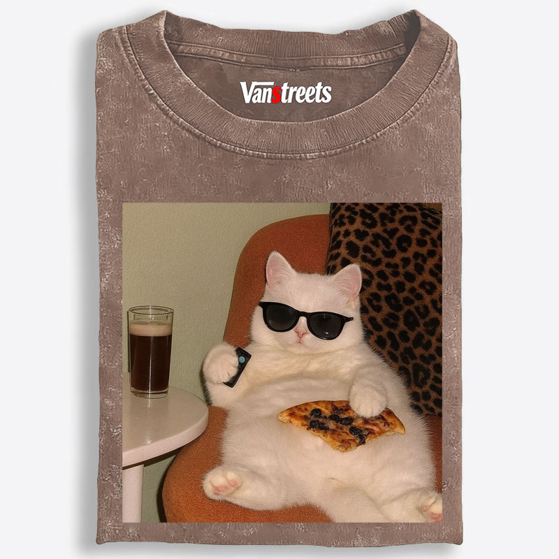 Lazy Cat Pizza & Beer Couch Potato Retro Washed T-Shirt | 100% Cotton | Streetwear Essential