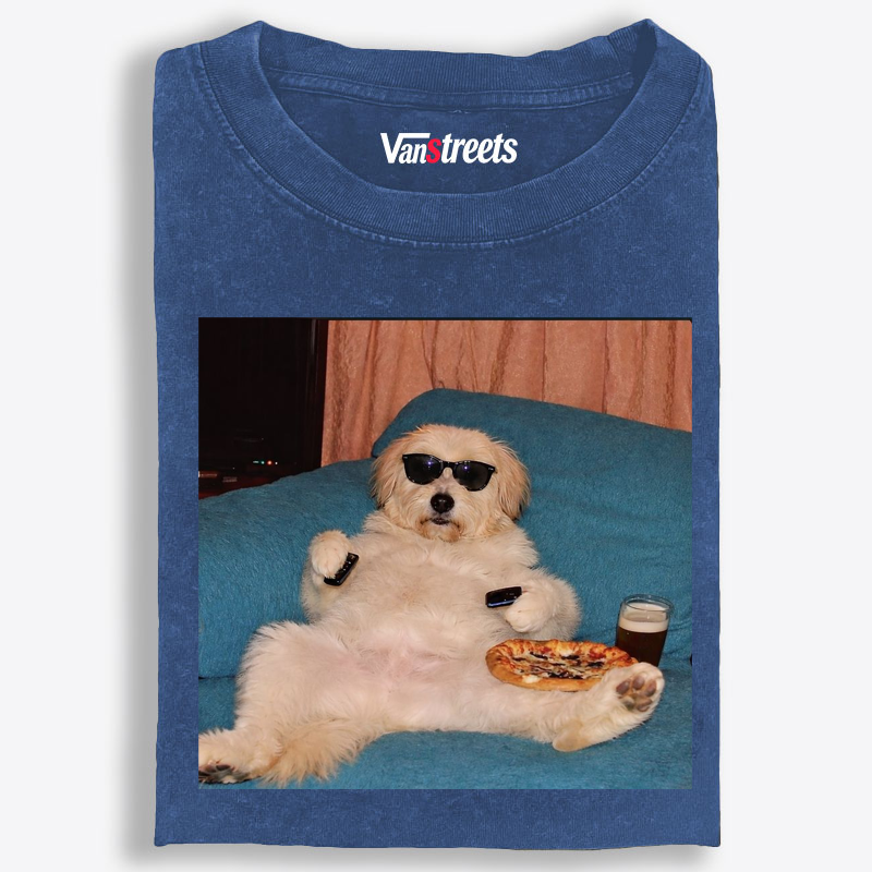 Chill Dog With Pizza Beer Remote Control Meme Retro Washed T-Shirt | 100% Cotton | Streetwear Essential