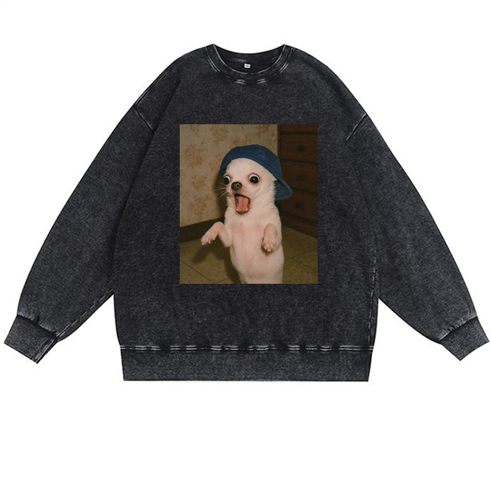 Surprised Chihuahua Meme Retro Premium Washed Cotton Crewneck Sweatshirt