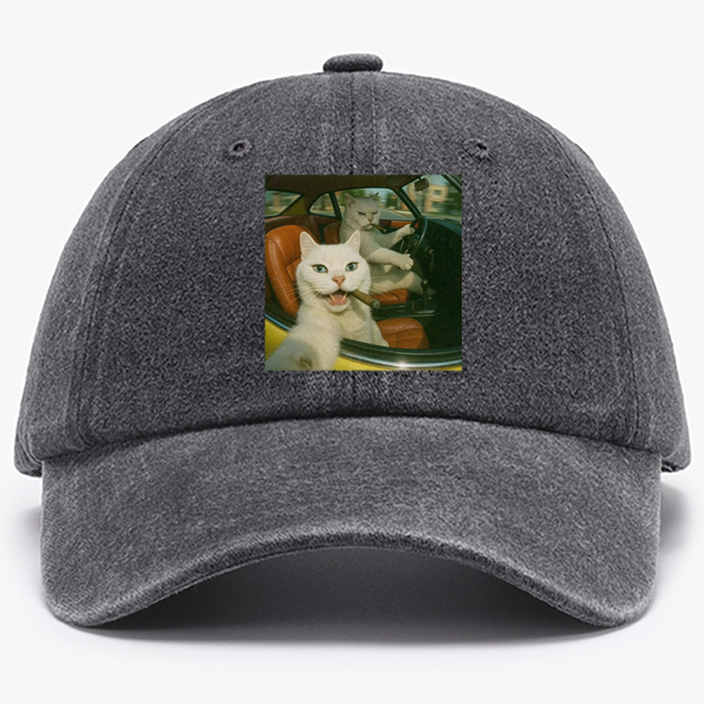 Cats With Cigars, Retro Vibes Washed Baseball Cap