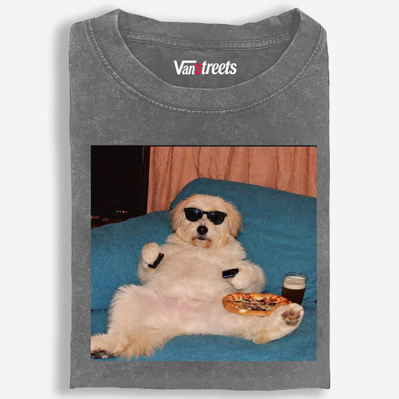Chill Dog With Pizza Beer Remote Control Meme Retro Washed T-Shirt | 100% Cotton | Streetwear Essential