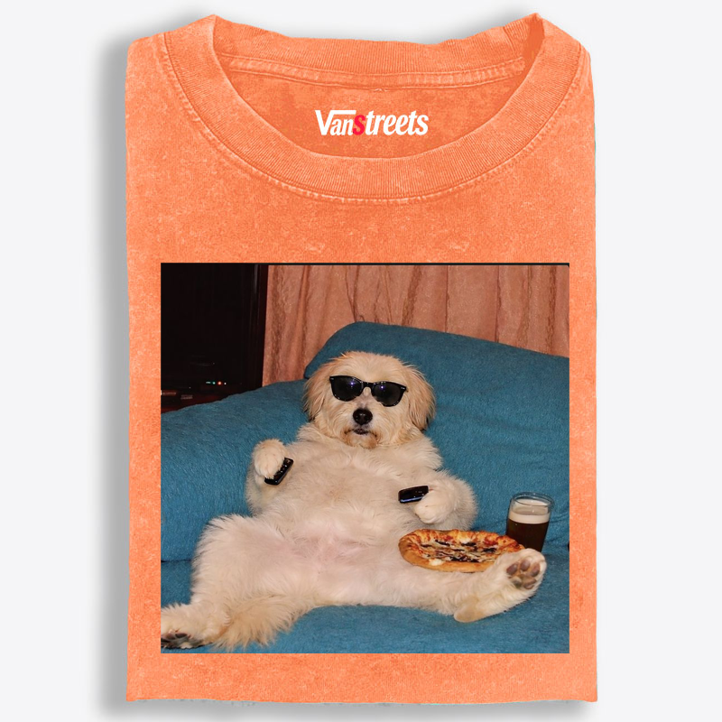 Chill Dog With Pizza Beer Remote Control Meme Retro Washed T-Shirt | 100% Cotton | Streetwear Essential