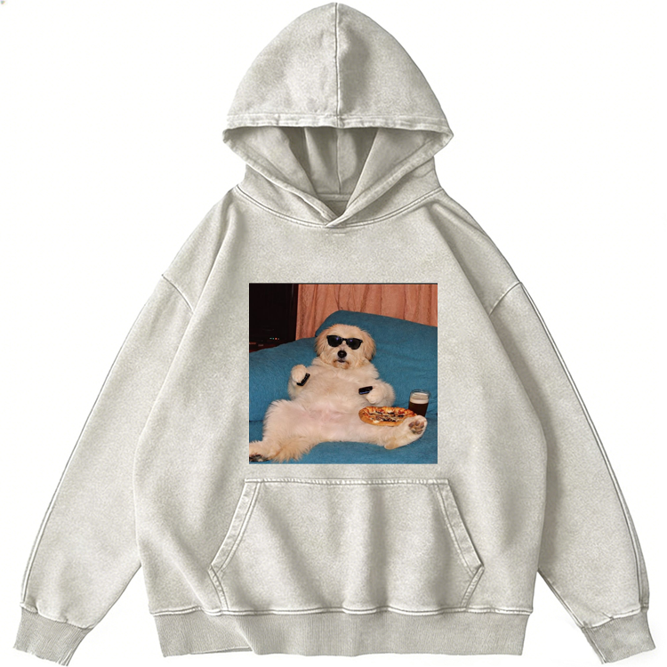 Chill Dog With Pizza Beer Remote Control Meme Retro Washed Hoodie