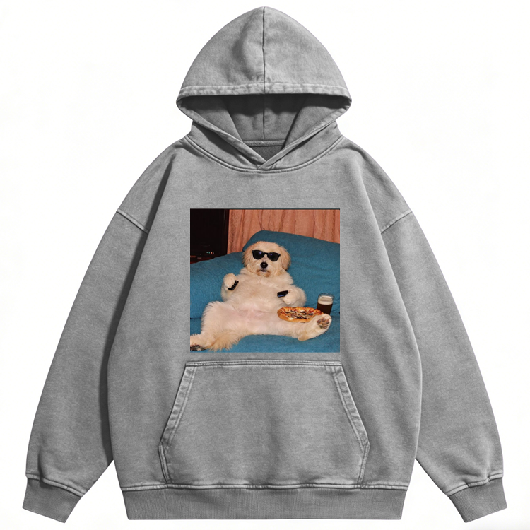 Chill Dog With Pizza Beer Remote Control Meme Retro Washed Hoodie