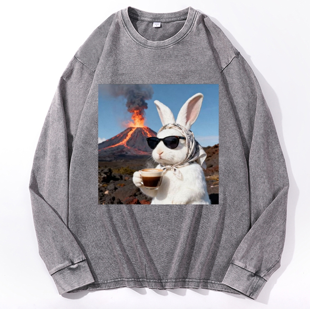 Volcano Coffee Bunny Retro Washed Long Sleeve T-Shirt