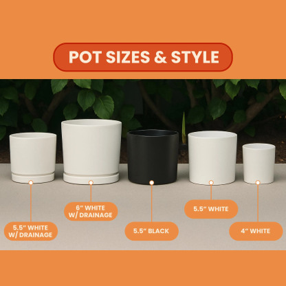 Grandma‘s Garden Personalized Birth Flower Pot Gift for Grandma/Mom