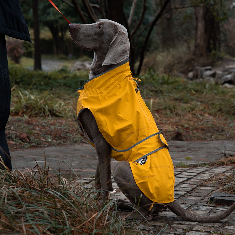 Dog Raincoat Waterproof and Leak-Proof Outdoor Dog Jacket Pet Raincoat for Small and Large Dogs