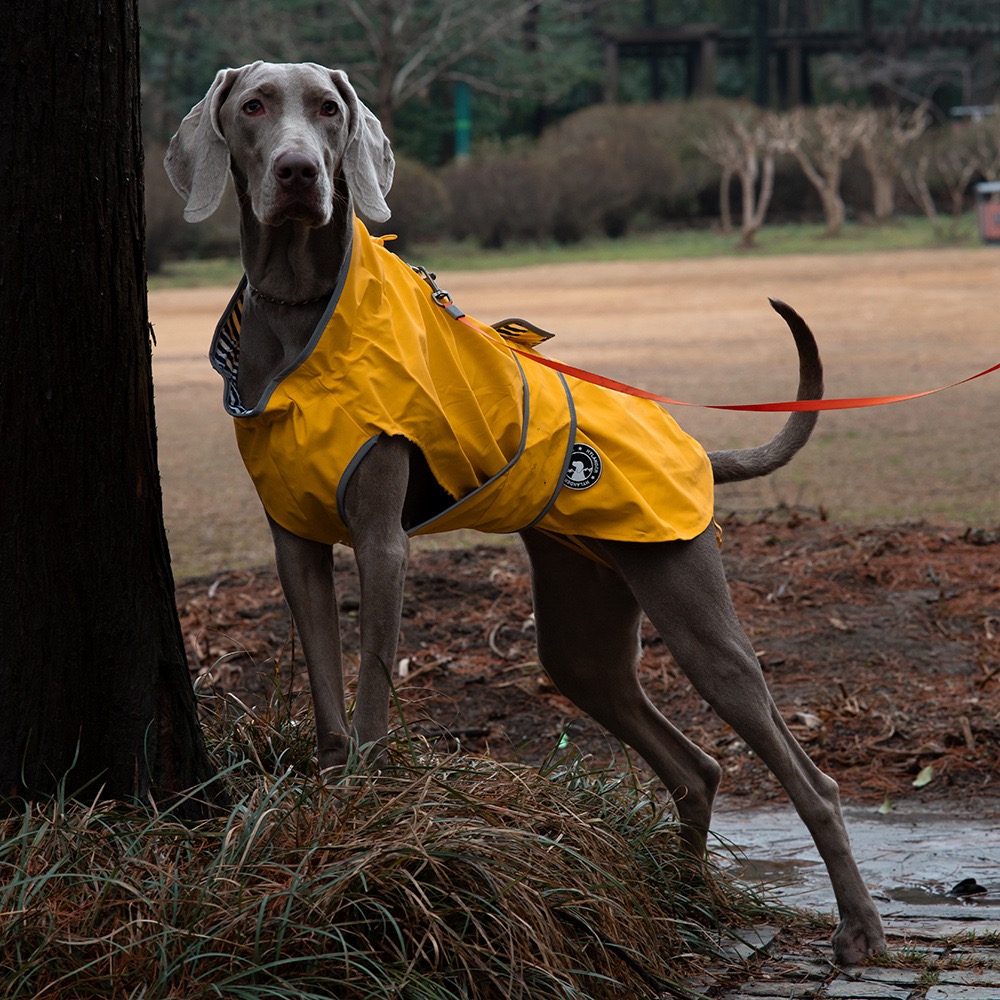 Dog Raincoat Waterproof and Leak-Proof Outdoor Dog Jacket Pet Raincoat for Small and Large Dogs