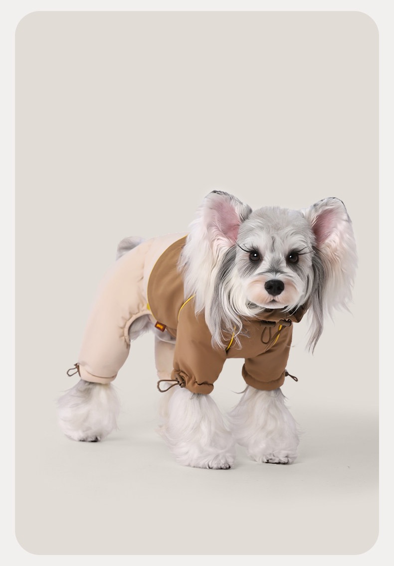 Doggy Four-Legged Charge Contrast-Color Cotton Jacket