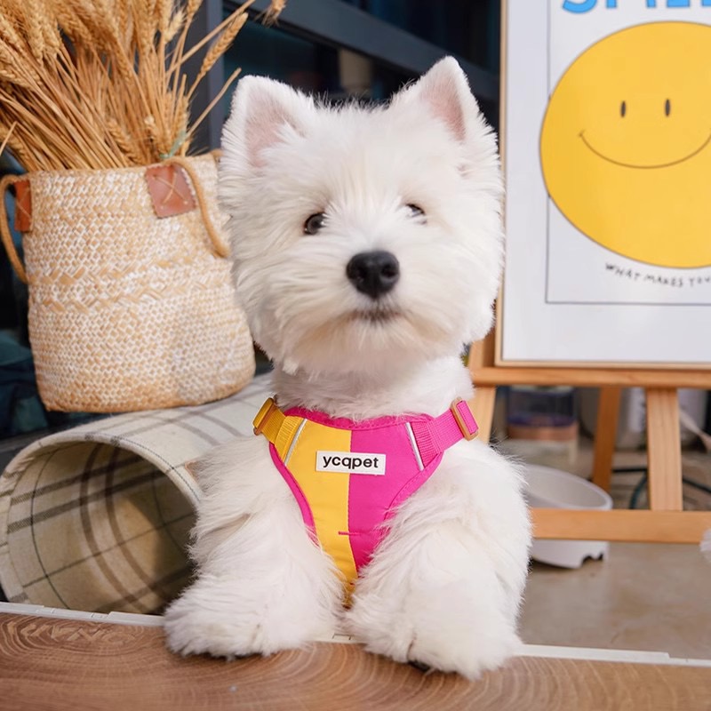 Reflective Dog Harness with Leash Attachment Vest-Style Dog Leash for Walking