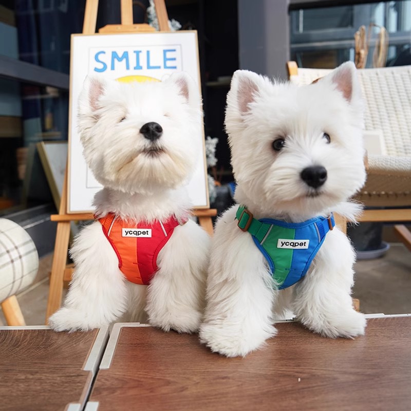 Reflective Dog Harness with Leash Attachment Vest-Style Dog Leash for Walking