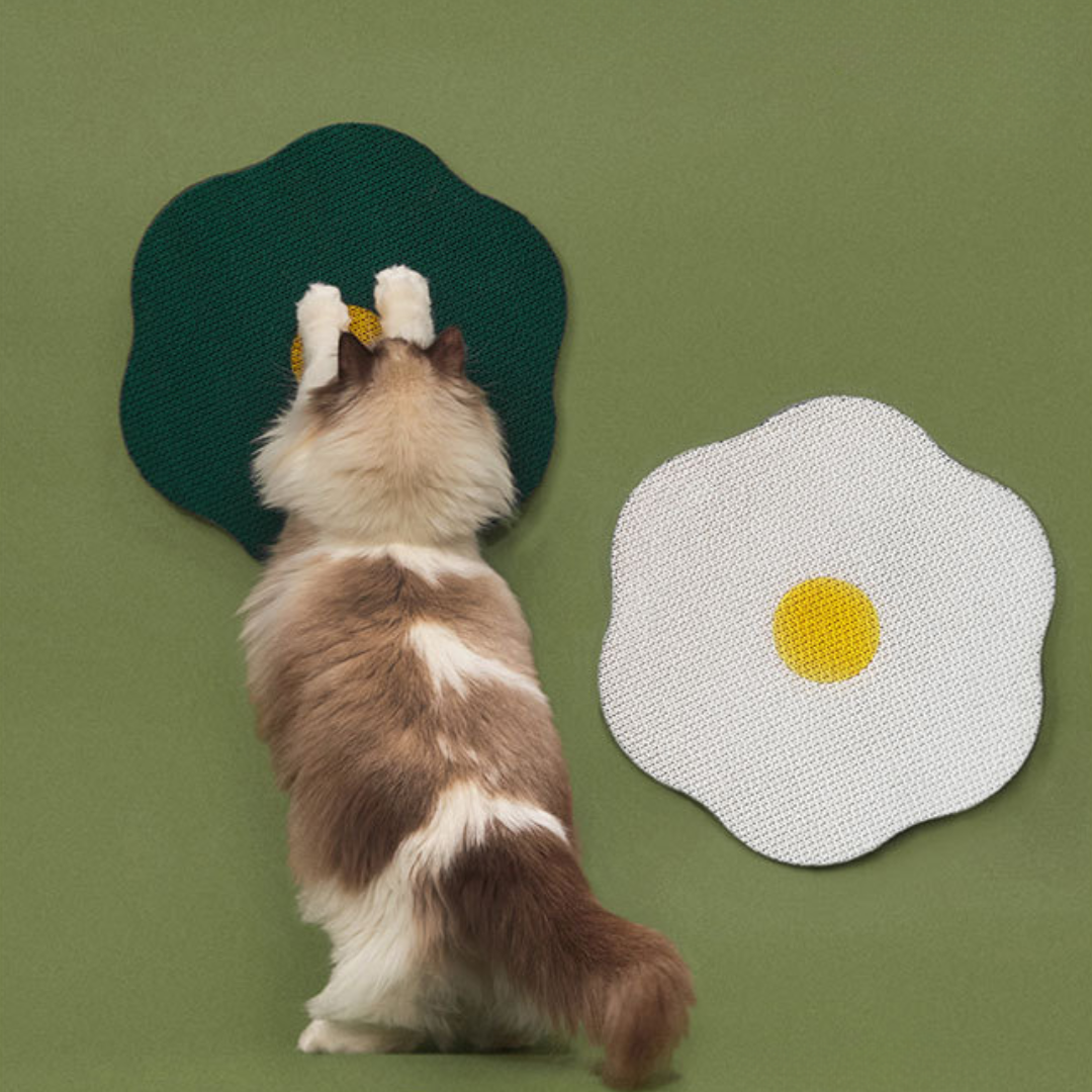 Flower Cat Scartcher Toys