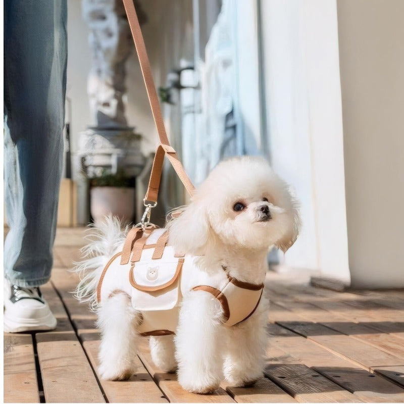 PawPort – Hands-Free Pet Carrier Harness