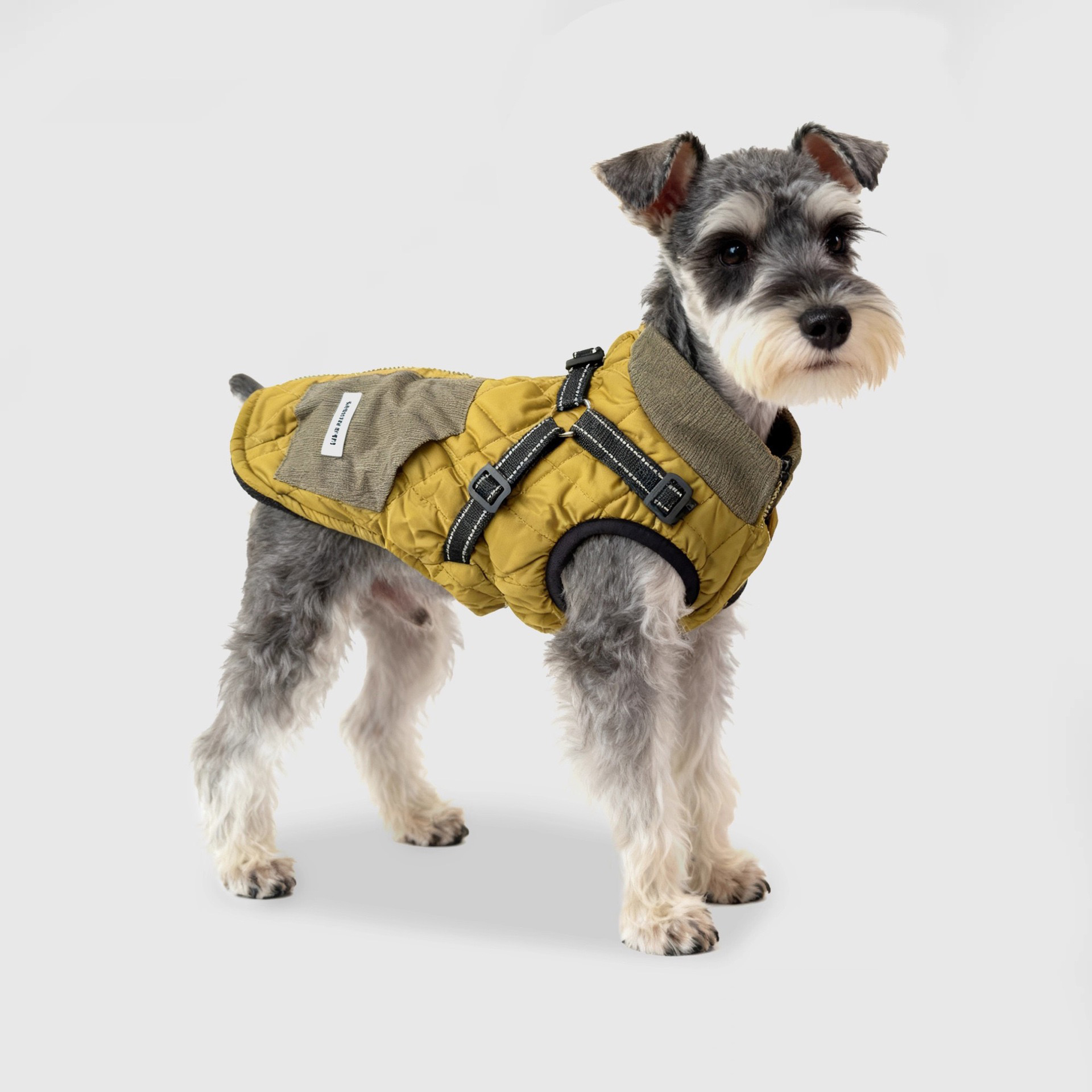 Dog Harness Vest for Small Dogs