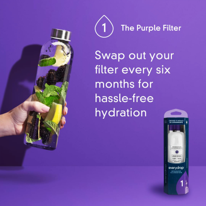 EveryDrop by Whirlpool EDR1RXD1 Filter 1, Refrigerator Water Filter 1, W10295370A, P8RFWB2L