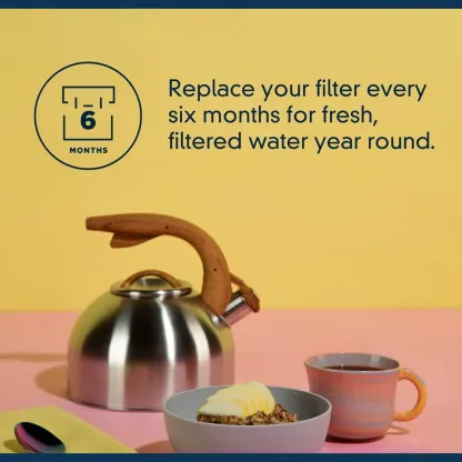 EveryDrop by Whirlpool EDR3RXD1 Filter 3, Refrigerator Water Filter 3, 4396841, 4396710