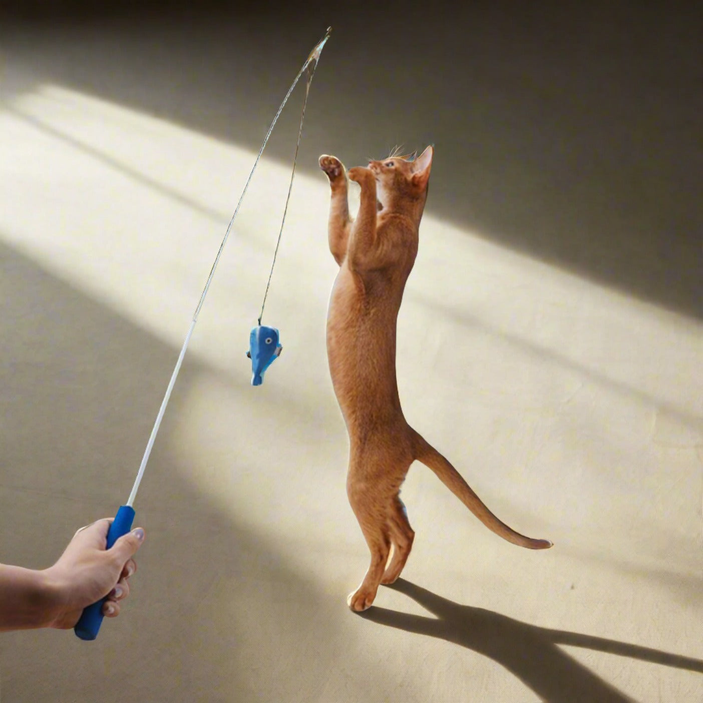 Extendable Cat Teaser Wand