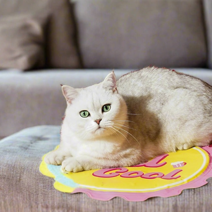 American Beer Dog & Cat Cooling Mat