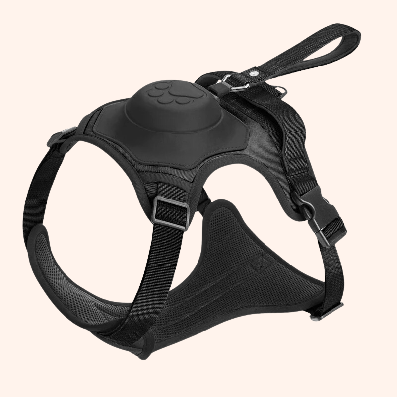 All in one Dog Harness and Leash Set