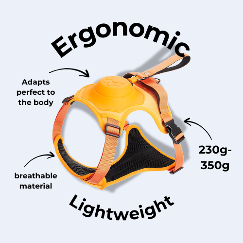 All in one Dog Harness and Leash Set