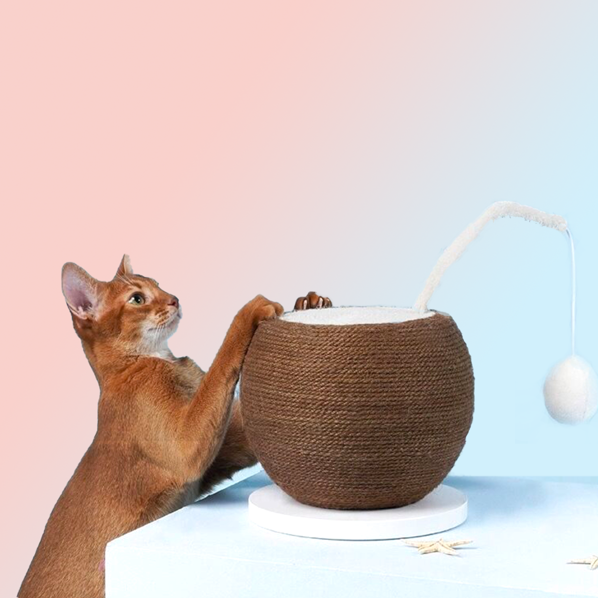 Natural Jute Coconut Cat Scratching Ball