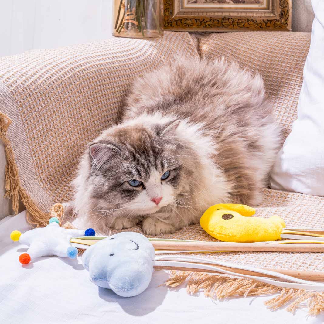 Cloud Moon Star Cat Teaser Wand with Catmint