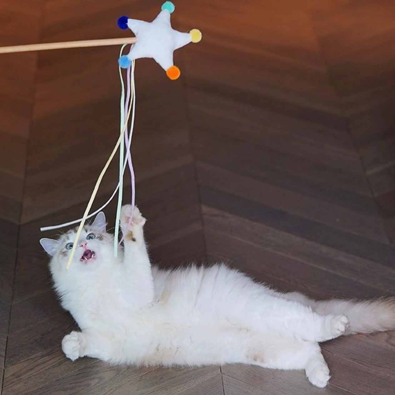 Cloud Moon Star Cat Teaser Wand with Catmint