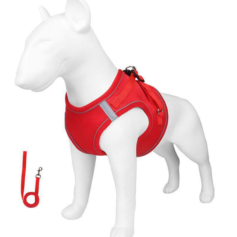 Basic Cat Harness Escape Proof 4 Color Leash Set Cat Lead