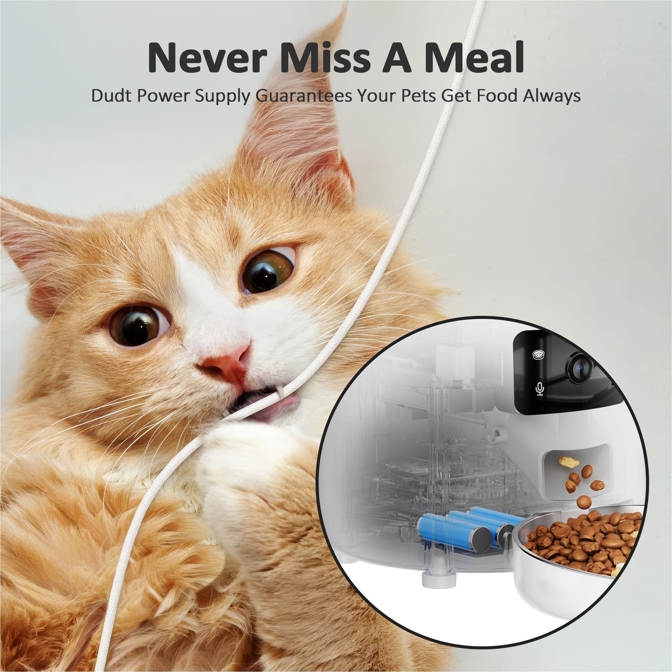 Automatic Cat Feeders with 304 Stainless Steel Bowl