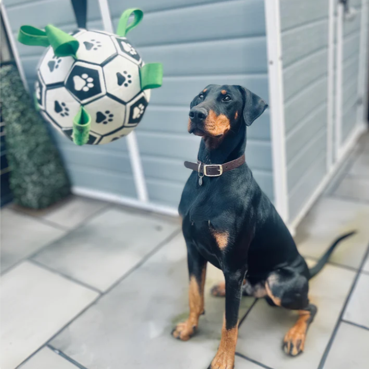 🎉Last Day 50% OFF⏰️Doggie Ball