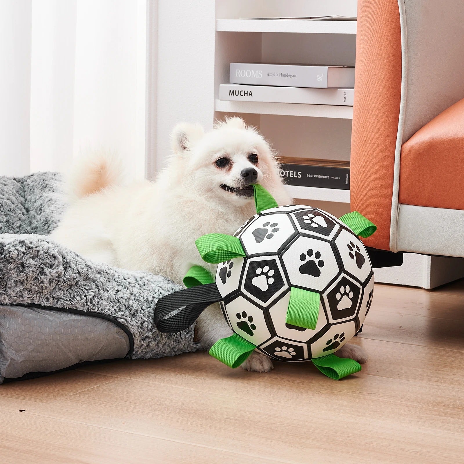 🎉Last Day 50% OFF⏰️Doggie Ball