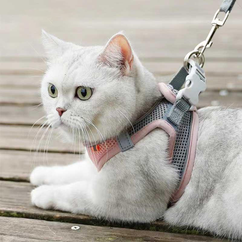 Mesh Cat Harness and Leash Set 5 Color Cat Lead Vest
