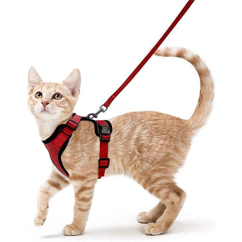 Reflective Strips Cat Leash Set 11 Color Vest Harnesses