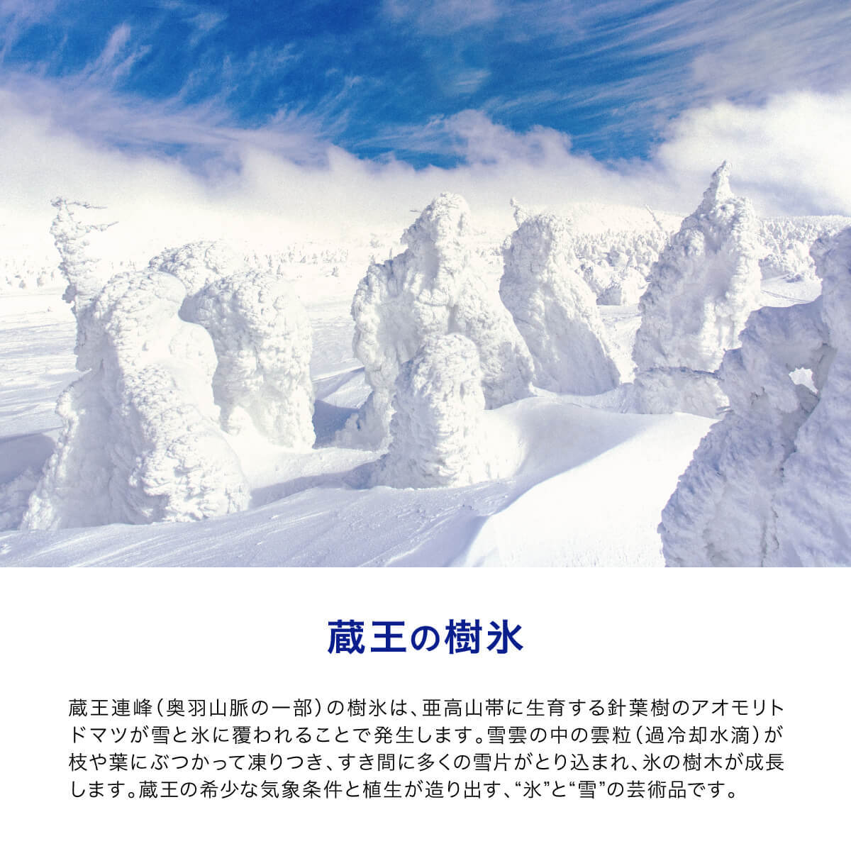 【365日最短翌日お届け！】国産 天然水 500ml 42本 水 送料無料 ナチュラルミネラルウォーター 水想い ラベルレス 名峰 蔵王 軟水 宮城県 日本製 ローリングストック 備蓄