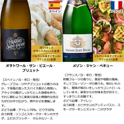 3大銘醸地入り 世界選りすぐりスパークリングワイン11本セット 第42弾 スパークリングワイン 辛口 ワインセット 【9000194】