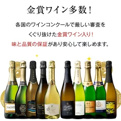 3大銘醸地入り 世界選りすぐりスパークリングワイン11本セット 第42弾 スパークリングワイン 辛口 ワインセット 【9000194】