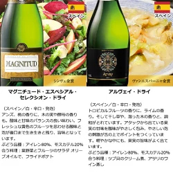 3大銘醸地入り 世界選りすぐりスパークリングワイン11本セット 第42弾 スパークリングワイン 辛口 ワインセット 【9000194】