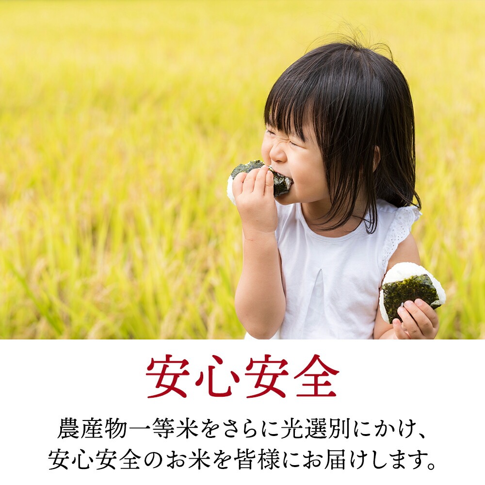 ＜在庫あり 値上げが近づいている＞令和7年産 山形県産 米 コシヒカリ こしひかり 15kg (5kg×3袋) 高評価 新米 お米 コメ 精米 お米 白米 ご飯 新米 単一原料米 令和六年産 15kg コメ 仕送り ギフト プレゼント 精米したて 送料無料 米 15kg