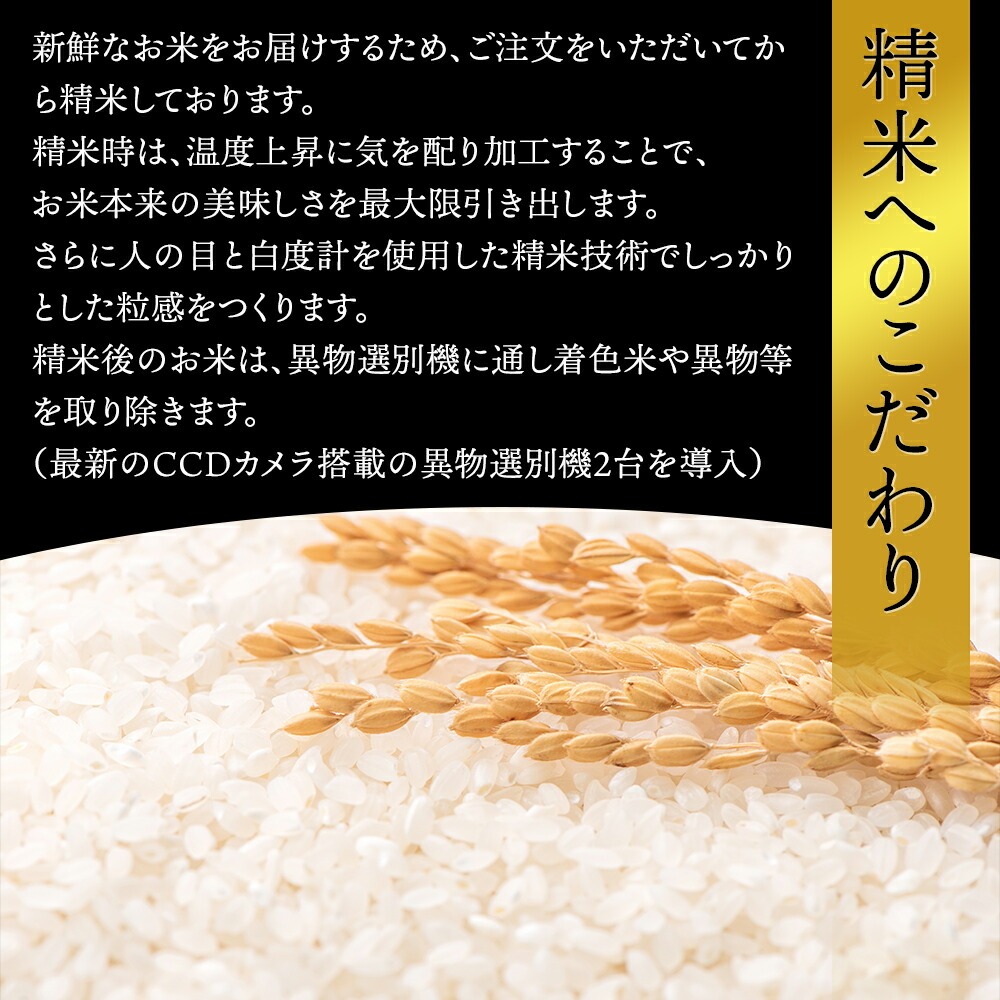 ＜在庫あり 値上げが近づいている＞令和7年産 山形県産 米 コシヒカリ こしひかり 15kg (5kg×3袋) 高評価 新米 お米 コメ 精米 お米 白米 ご飯 新米 単一原料米 令和六年産 15kg コメ 仕送り ギフト プレゼント 精米したて 送料無料 米 15kg