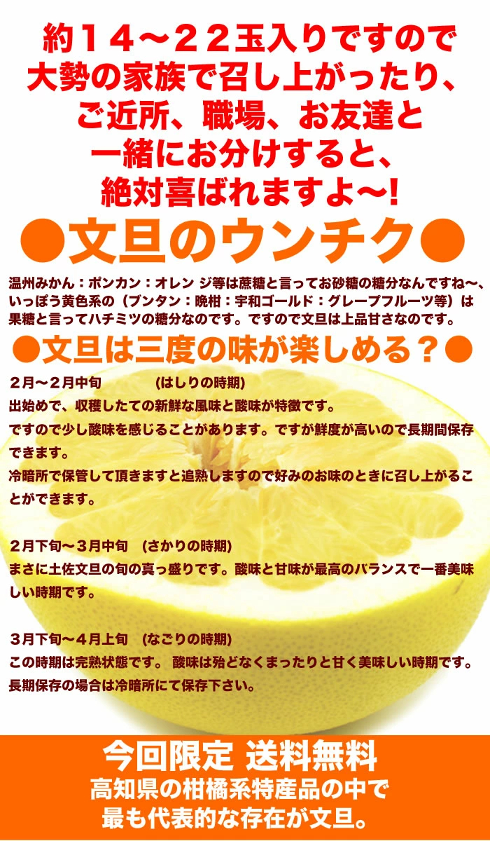 毎年大人気 土佐文旦 訳あり 4L～3Lサイズ 特大 超大玉がズッシリ 高知産 送料無料デカい旨い特大・土佐文旦10kg見た目訳あり中身は極高知の特大 土佐文旦のプリップリ果肉を堪能 家庭用 高知県 10キロ産直龍馬くん ※北海道・沖縄別途送料・離島配送不可